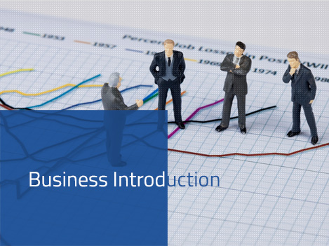 Business Introduction