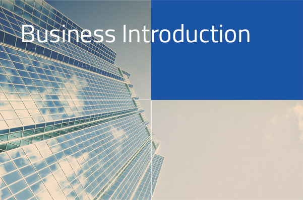 Business Introduction