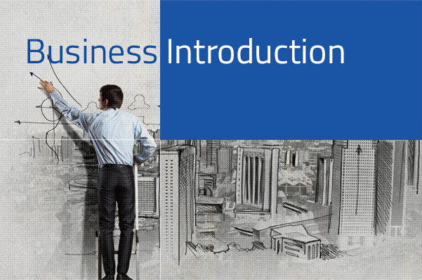 Business Introduction