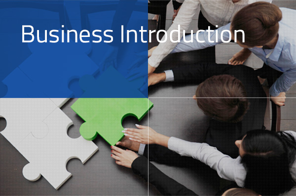 Business Introduction