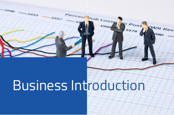 Business Introduction